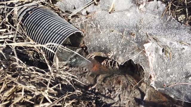 Wastewater has flowed from sewer pipe to nature.