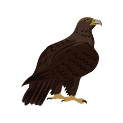 Golden eagle sitting. Vector illustration isolated on the white background