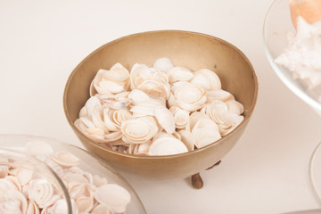Fototapeta na wymiar sea shells on a vase