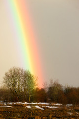 Bright colorful rainbow over the spring field