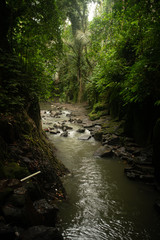 Beautiful landscape of asian Jungle with small river in Bali