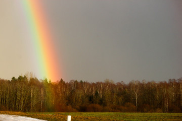 Rainbow over the winter forest closeup