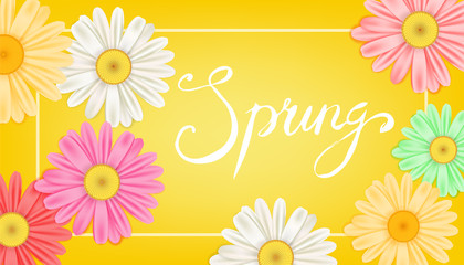 Spring banner. Hand drawn lettering. Background with chamomile, daisy. Spring Time template, flyer, posters, brochure. Happy spring Day. Fashionable styling. Flower vector isolated