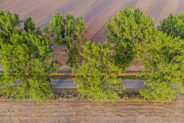 Road transport.  © Tomasz Warszewski