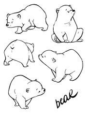 Fototapeta premium Hand drawing cute bear with a lot of variation.