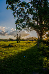 Fototapeta na wymiar atardecer en el parque