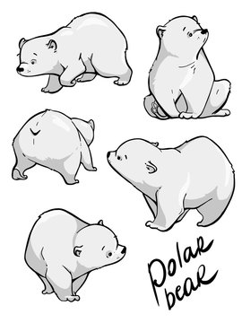 Cute polar bear. Flat hand drawn vector design. Cartoon illustration.