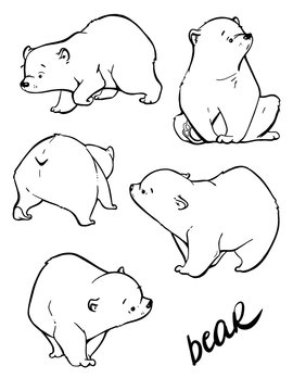 Hand drawing cute bear with a lot of variation.