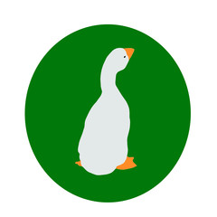 oiseau, animal, goose,  blanc, oie, nature, isolé, oiseau, foie gras, canard, bec, canard, , animal, ferme, illustration, faune, ailes,  empennage, domestique,  bleu, oeuf ,sud -ouest