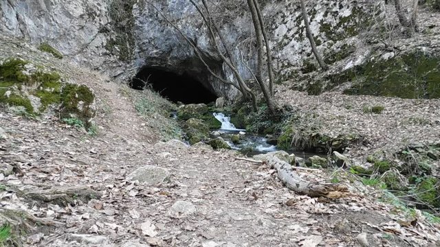 Beautiful Cave from which stream flows