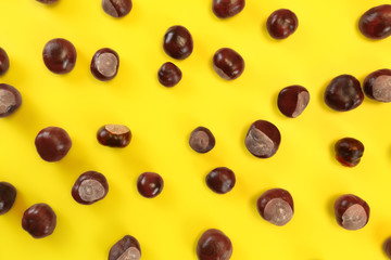 Flat lay photo - horse chestnuts on yellow board.