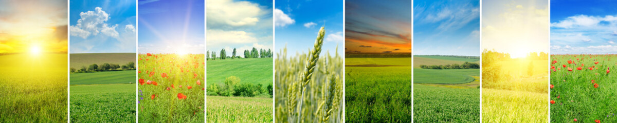 Panoramic view of green field and blue sky . Collage.Wide photo.