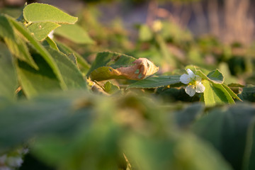 Beautiful natural scenery