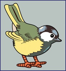TITMOUSE BIRD