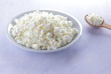 Cottage cheese on white plate with wooden spoon. Cottage cheese on white background. Soft cheese for diet. Healthy dairy product for breakfast