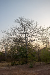 Beautiful natural scenery