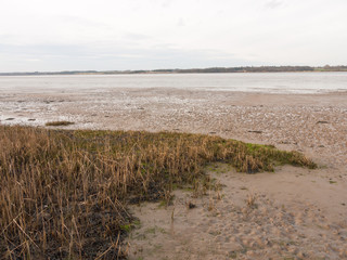 Beautiful bay coastal open scenery outside Manningtree, Jacques Bay