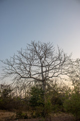 Beautiful natural scenery