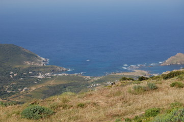 corse