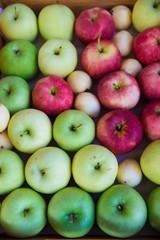 red and green apples on a white background