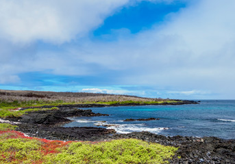 Fototapeta premium Landscape of the coast near Puerto Velazco Ibarra, Floreana or Charles Island, Galapagos, Ecuador