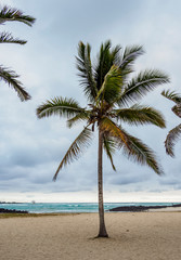Fototapeta na wymiar Beach in Puerto Villamil, Isabela or Albemarle Island, Galapagos, Ecuador