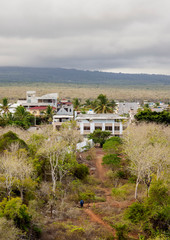 Fototapeta na wymiar Puerto Ayora, elevated view, Santa Cruz or Indefatigable Island, Galapagos, Ecuador