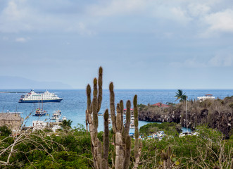 Puerto Ayora, elevated view, Santa Cruz or Indefatigable Island, Galapagos, Ecuador