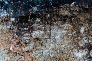 Soil cut-sandstone, stones, clay, sand structure and layers. slice of sand with layers of different structures. Layers of sedimentary sandstone rock.