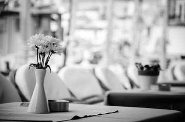 A vase with flowers isolated from background in black and white