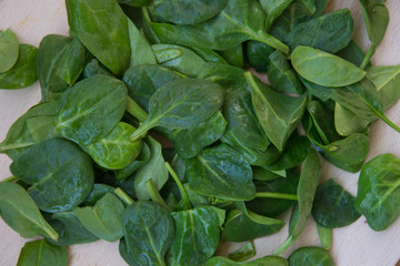 Fresh spinach leaves with water drops on wooden table. Plastic tray, wooden board. Baby spinach...