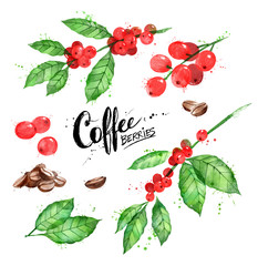 Watercolor illustration set of coffee beans and berries