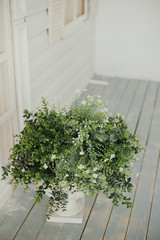 Beautifully decorated farmhouse look. Bright yellow door, a spring greenery wreath of flowers, a pot with green plants. Rustic interior element of spring porch