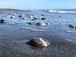 lo scatto della vita