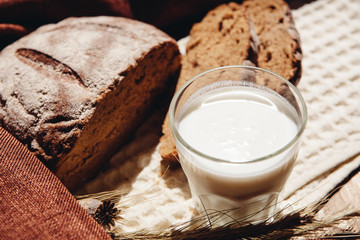 Milk or yogurt with fresh whole grain bread, healthy food