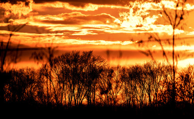 Controluce  al tramonto nella savana africana con nubi dai colori accesi