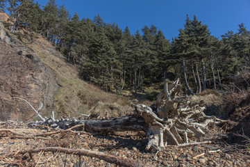 Indian point in Oregon