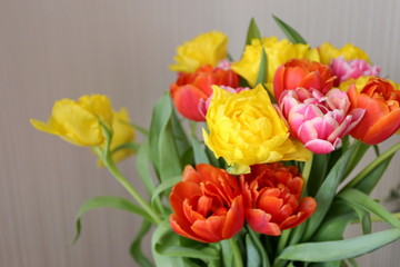 beautiful bouquet of spring flowers yellow and red tulips in a black vase