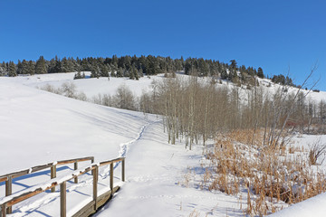 Hills in Winter