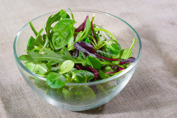 Mixed salad leaves in the glass bowl.