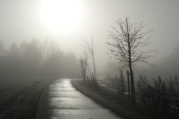 Obraz premium Brume d'hiver sur la campagne