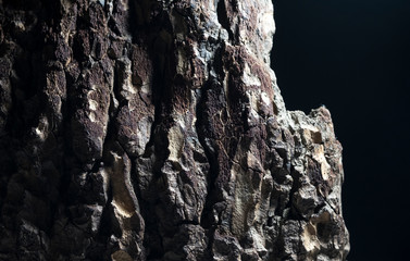 Thick tree bark macro image