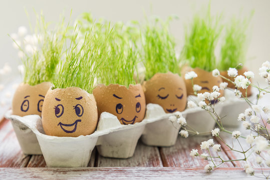 The fresh green grass growing in an egg shell with the funny persons drawn on it. The idea of spring creativity for easter day. Cartoon fases