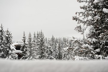 Winter scenery background 