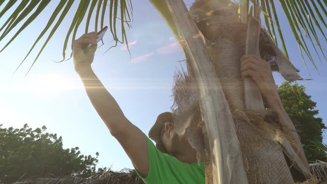 Man sitting on palm tree trying to get connection on his mobile phone, searching for civilization