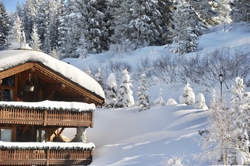 Chalet and winter scenery with snow and trees