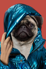 Contemporary art collage portrait positive dog headed woman. Modern style pop art zine culture...