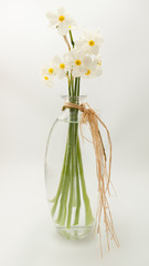 White spring daffodils are sitting in a glass vase with a white background.