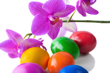 Easter eggs and spring flowers on a white background