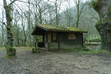 Cabin in the woods forest of Cantabria Spain